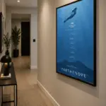 Vista 1