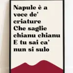 Vista 5